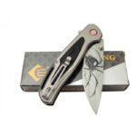 Haps Bugs Çakı Örümcek - Görsel 2