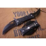 Yarasa Çakı - Görsel 2